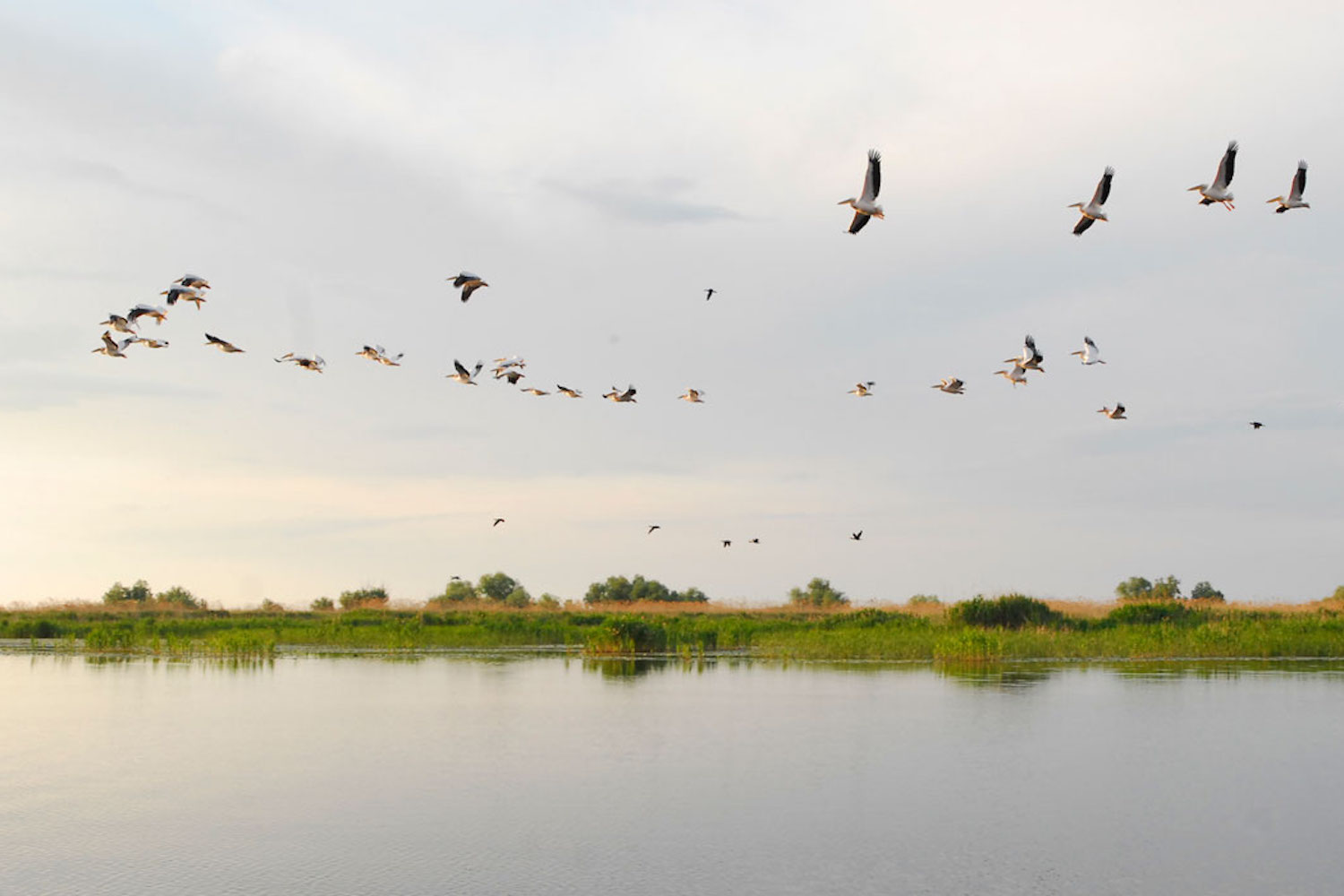 Danube Delta. Image: Mihnea Tanasescu