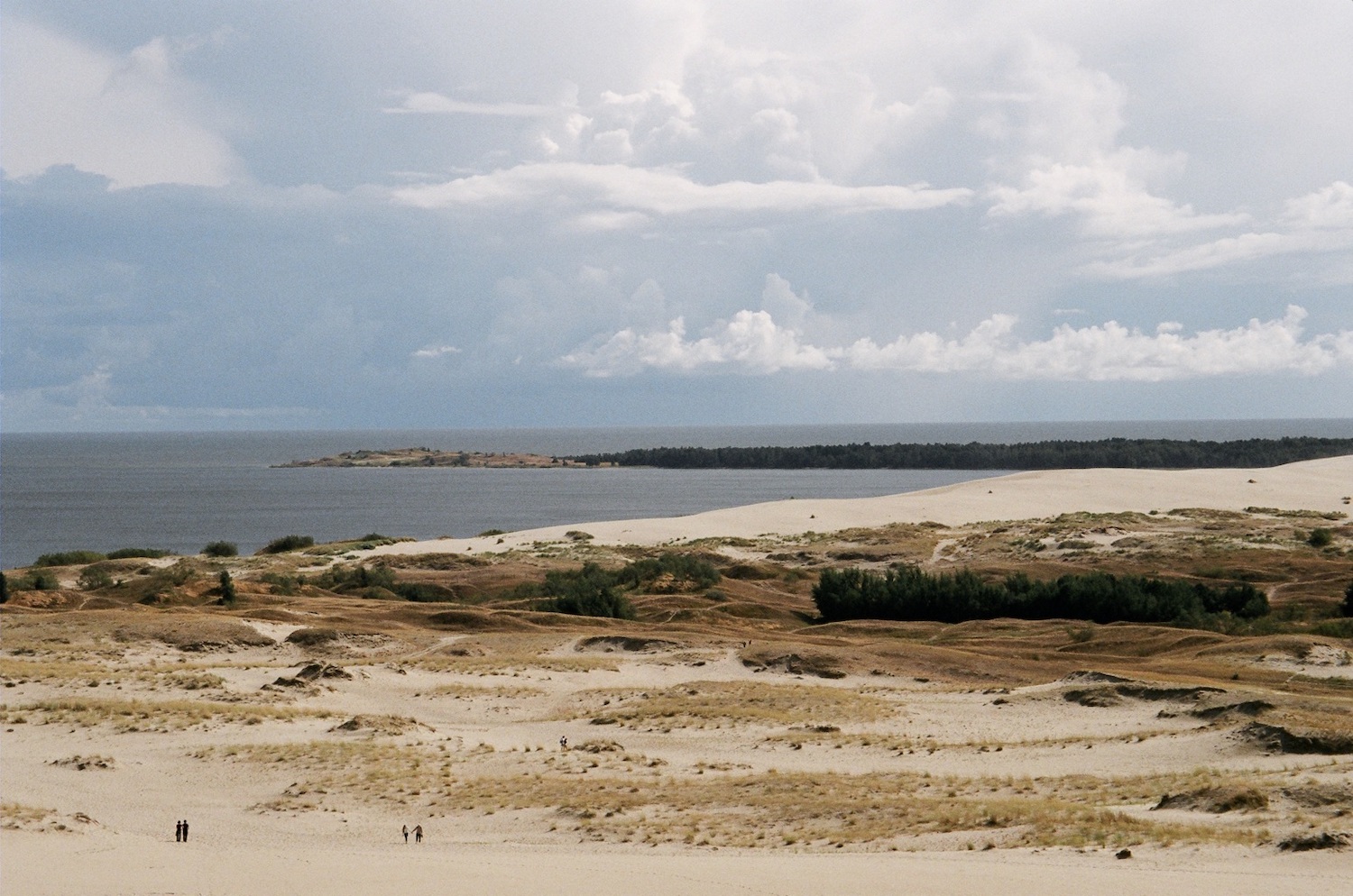 The Curonian Spit. Image: Vadim under a CC license