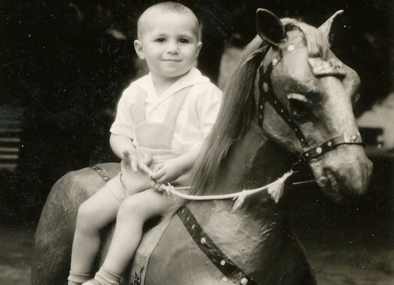 Watch the birdie: how a papier-mâché horse in Tbilisi Zoo grew into a popular photo studio