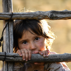 North Macedonian documentary Honeyland shows us just how fragile our link with nature is 