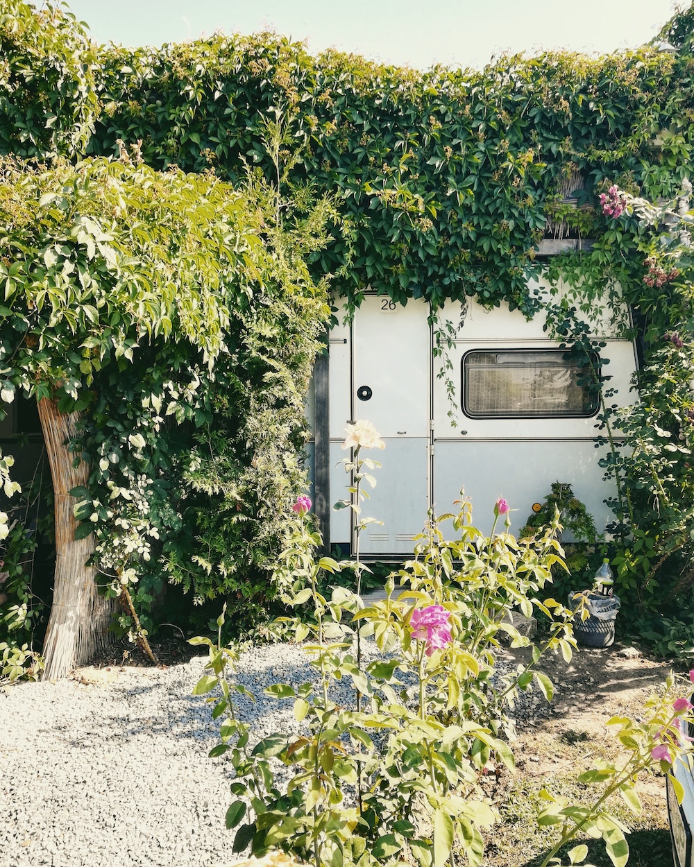 Van in Vama Veche, Romania. Image: Adriana Radu via Unsplash