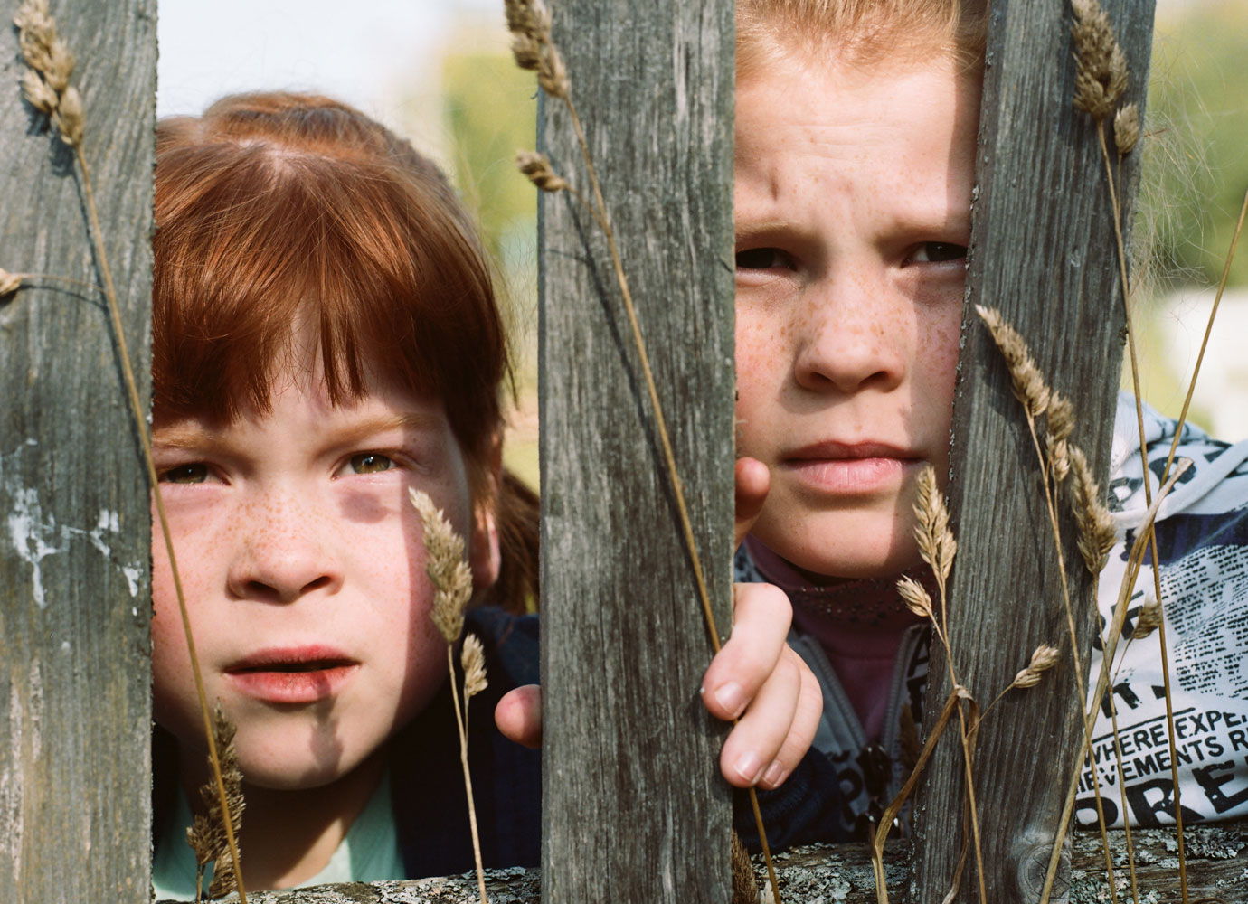 Hey brother: how Skype and analogue photography fused a long-distance sibling bond