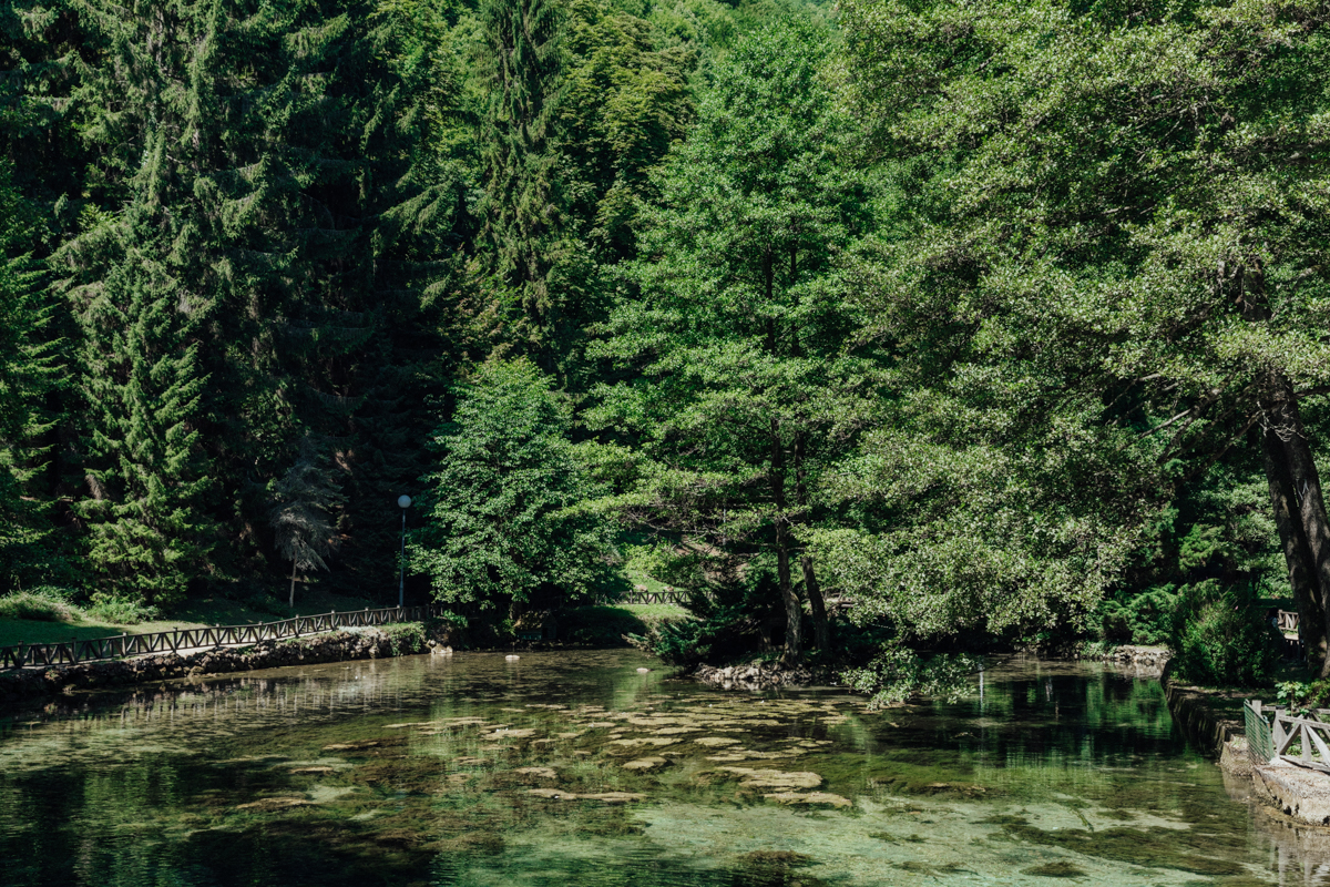 Vrelo Bosne, also known as Spring of the Bosna river 