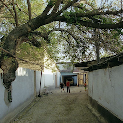 Tashkent’s first documentary photo gallery is striking out into new and untested waters 