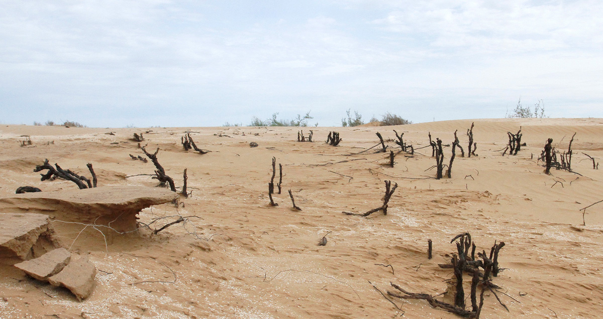 A line in the sand: snapshots of life in Kalmykia, Europe’s only man-made desert 