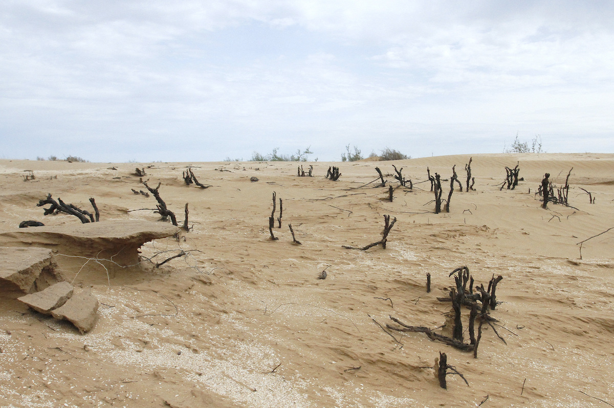 A line in the sand: snapshots of life in Kalmykia, Europe’s only man-made desert 