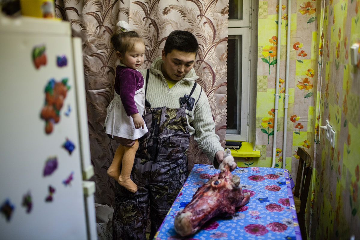 Herds of reindeers are led from tundra to Vorkuta for slaughter