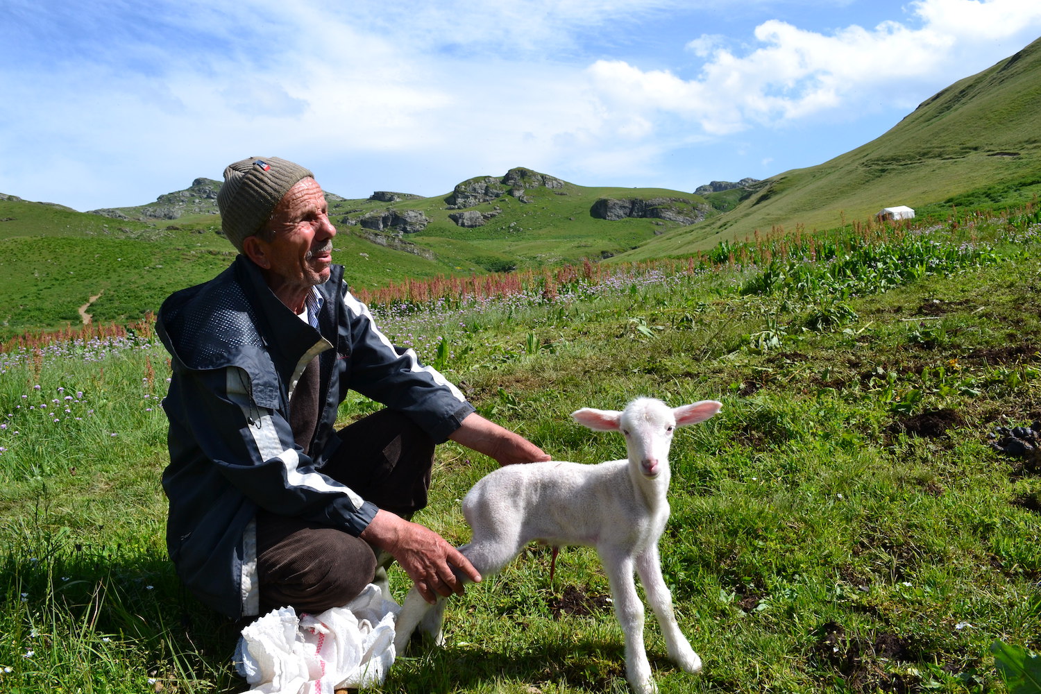 A shepherd with a lamb on the Sharr Mountains