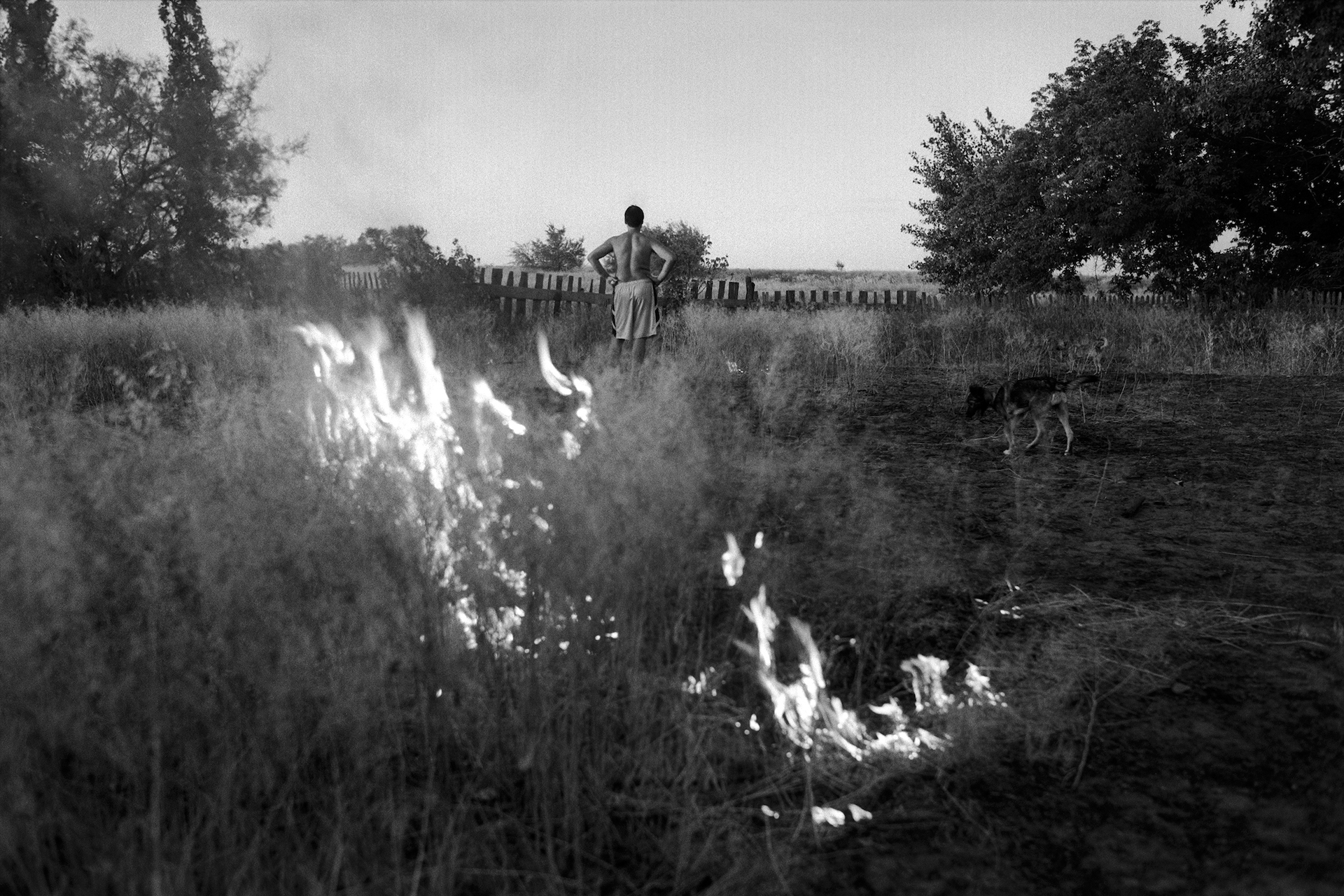 Burning old grass, village of Oblivskaya district, Rostov-on-Don region, Russia (2010)