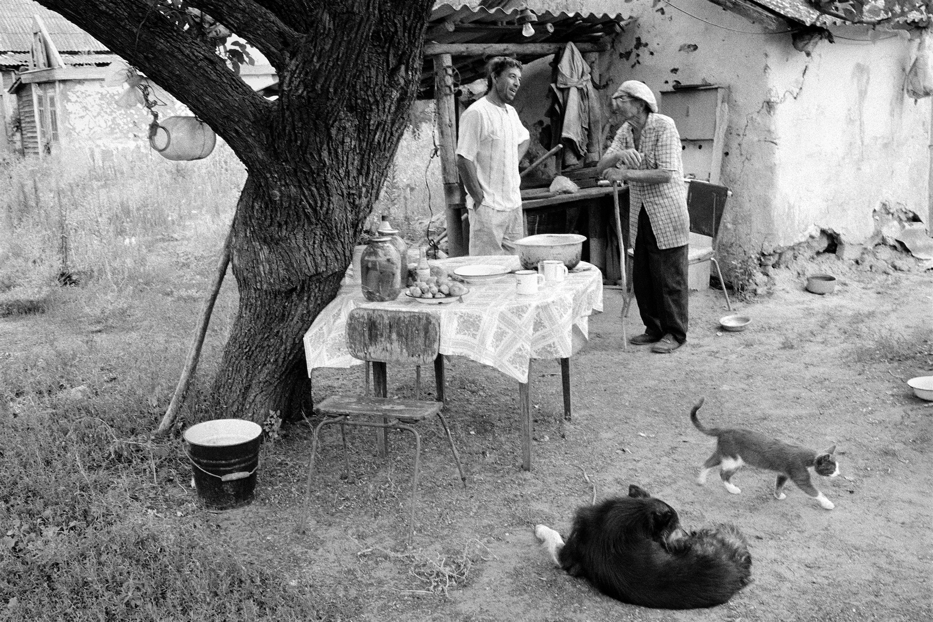 Chat in a courtyard, village of Oblivskaya district, Rostov-on-Don region, Russia (2010)