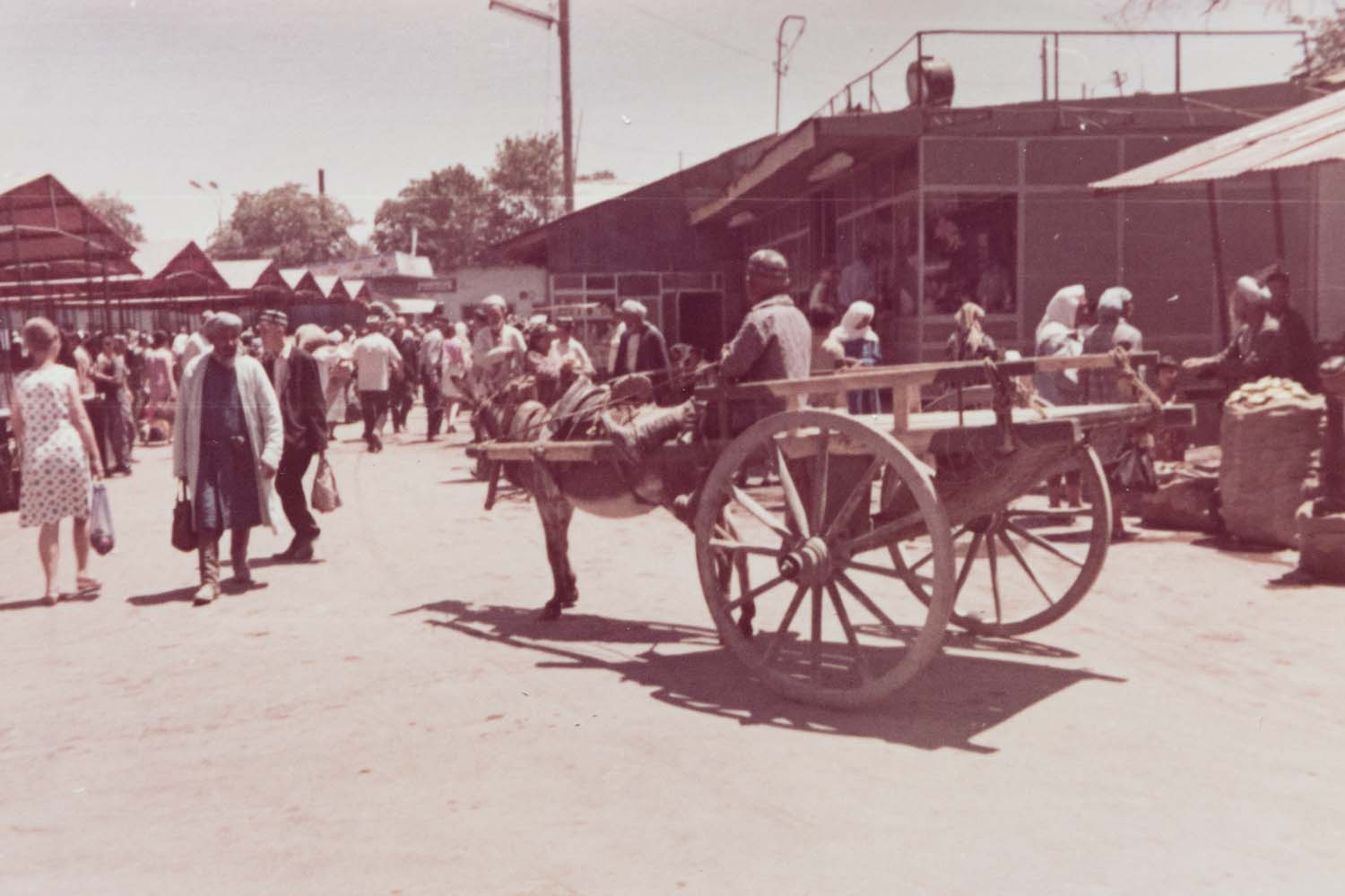 Daily life at a Samarkand bazaar, 1971