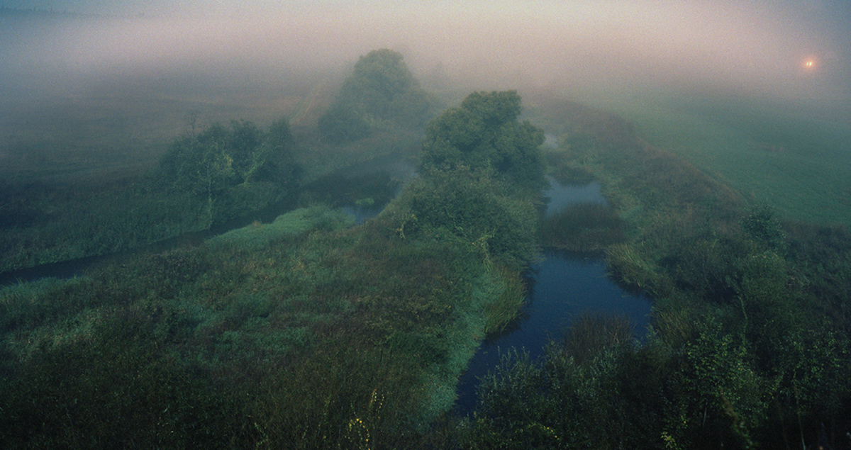 Herbarium: a Moscow exhibition explores tenderness through Russian photography