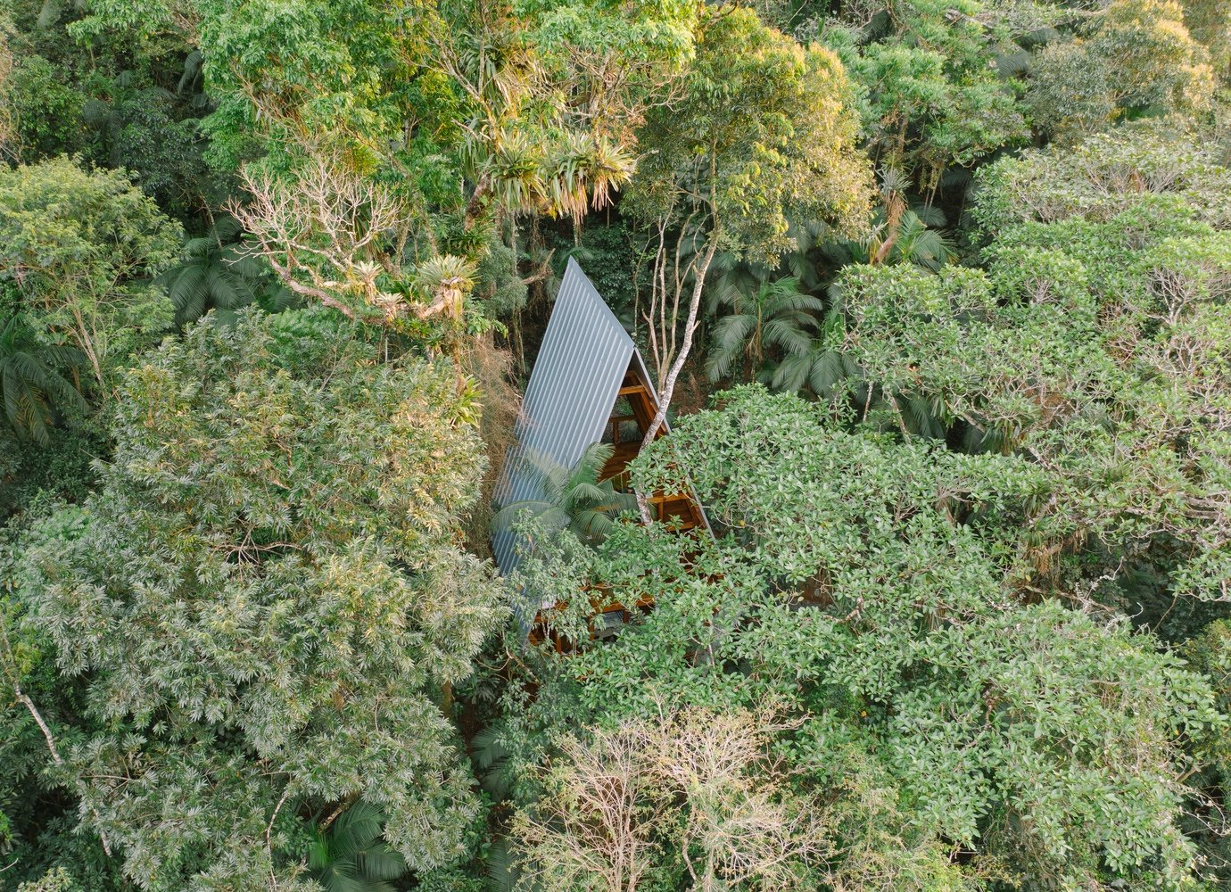 Monkey House: Croatian architect designs a vertical home in the Brazilian forest