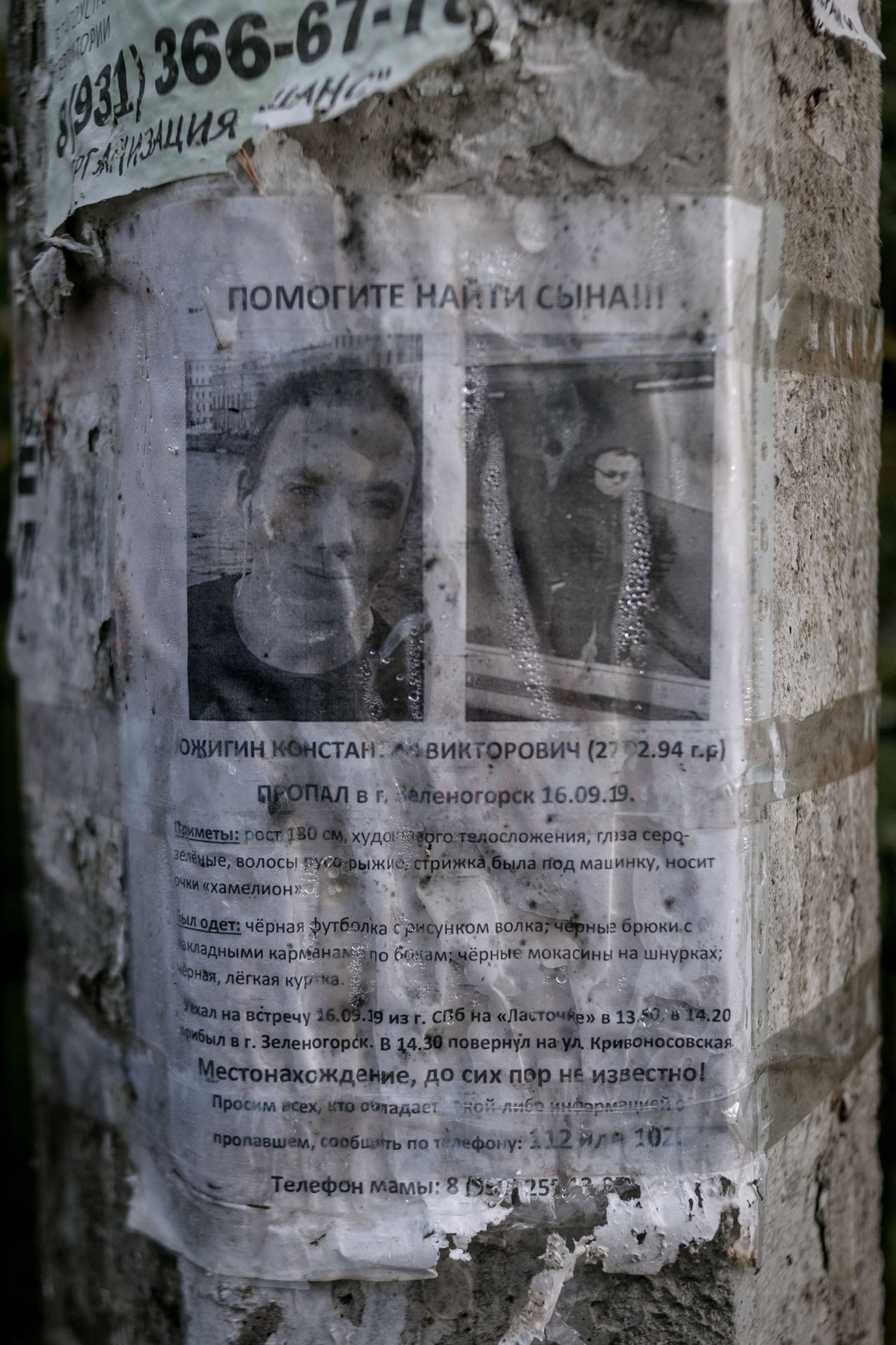 Poster printed by relatives of the missing teenager. The search continues in Zelenogorsk for more than a year.