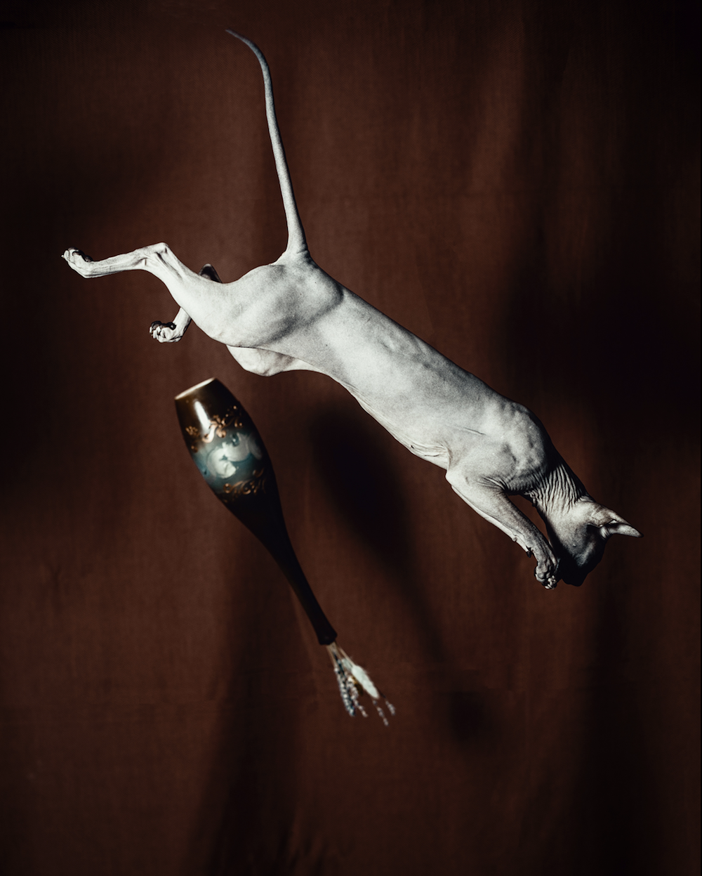 Image: Igor Kryukov, Russian Federation, Shortlist Professional Competition Still Life Projects 2021 Sony World Photo Awards