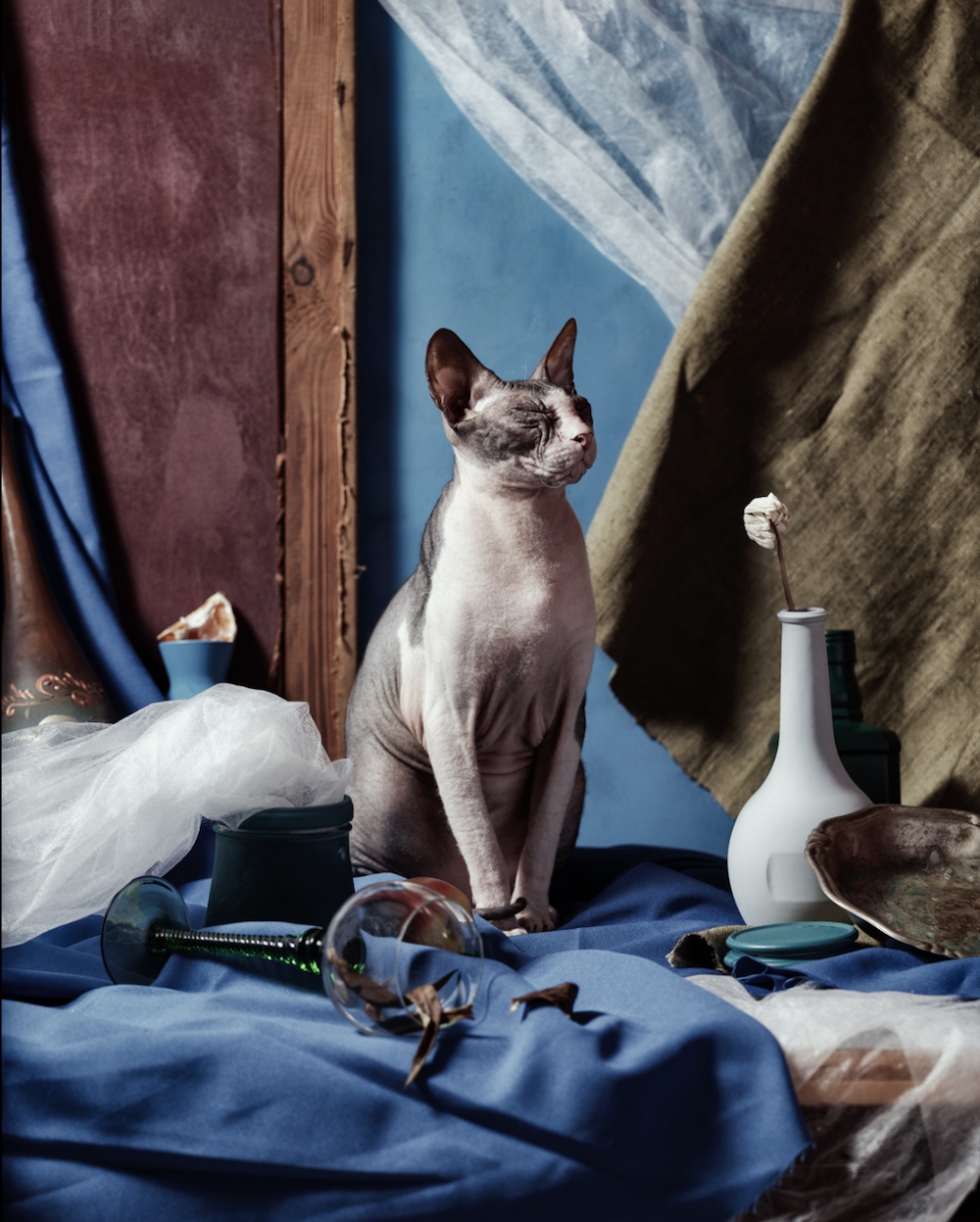 Image: Igor Kryukov, Russian Federation, Shortlist Professional Competition Still Life Projects 2021 Sony World Photo Awards