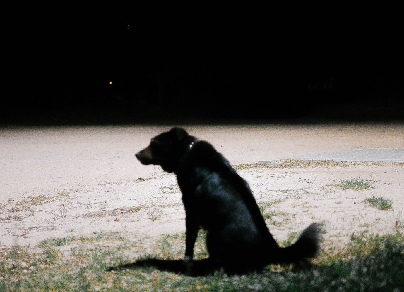 Falling for the stars: why one Polish photographer wants us to look at the night sky with awe