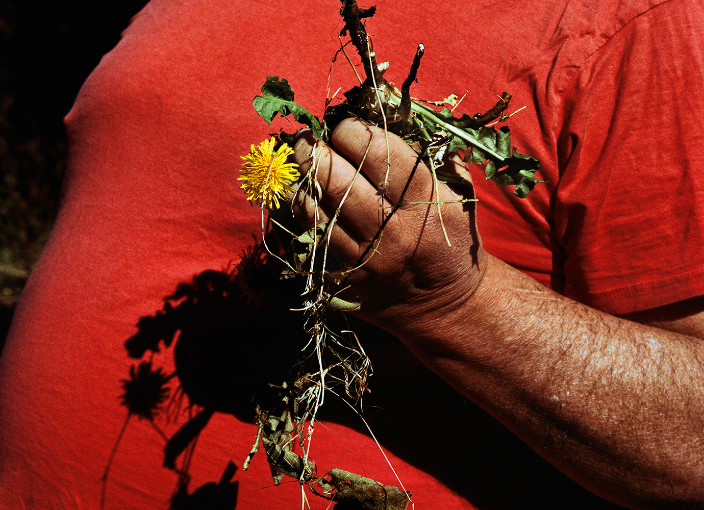 ‘Even weeds can have a soul.’ Finding joy with photographer Kuba Ryniewicz