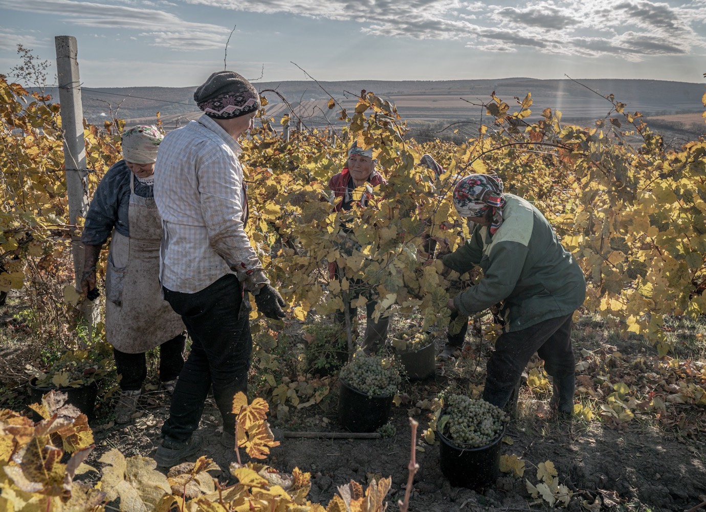 ‘Everyone has a connection to winemaking:’ the family traditions forging Moldova’s boutique wine industry