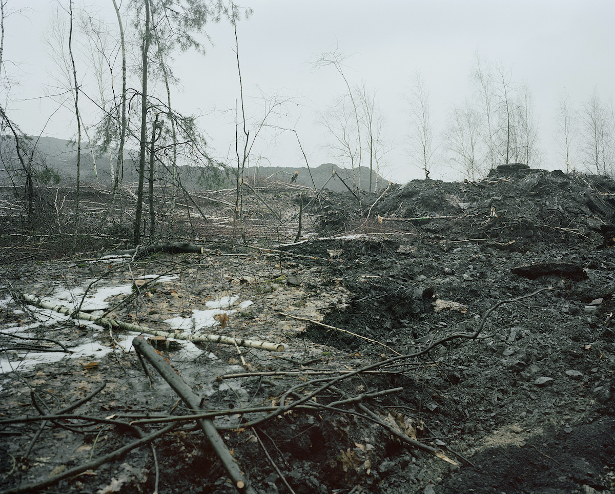 A pile in Czechowice-Dziedzice, where the material is reused; the forest that grew there had to be cut down