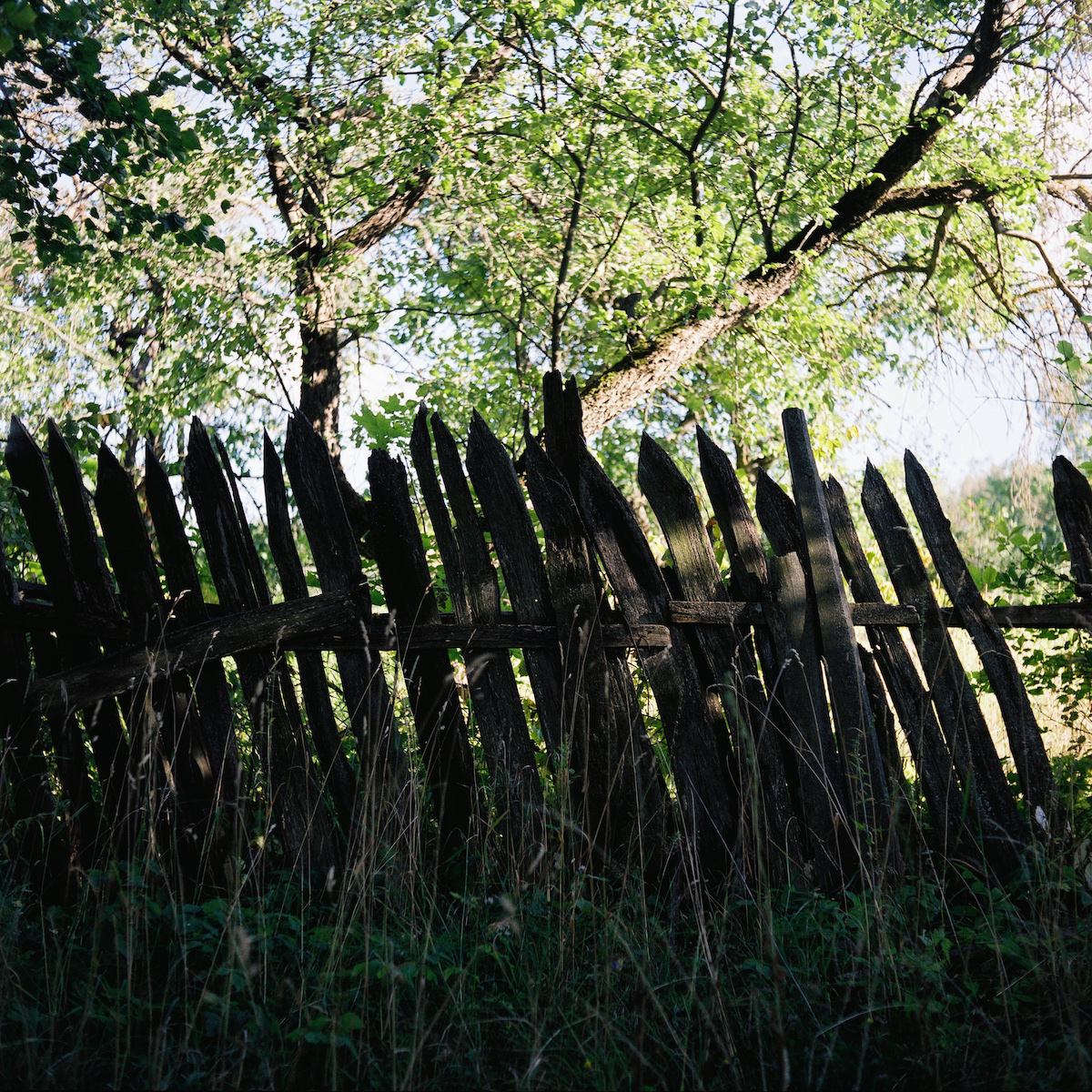 A typical fence in Chekalin