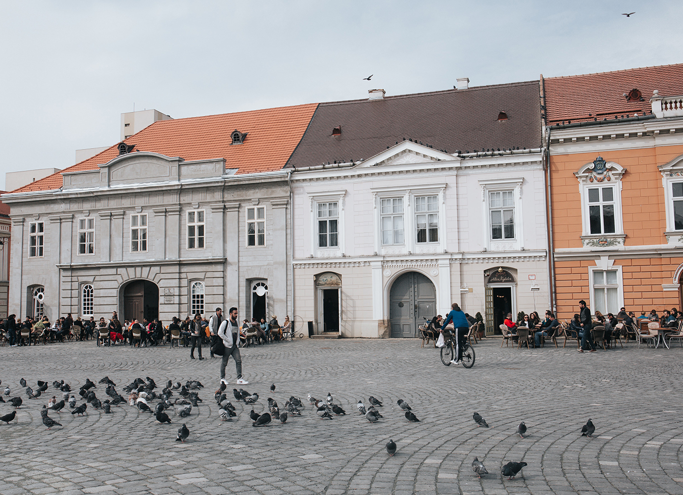 Timișoara