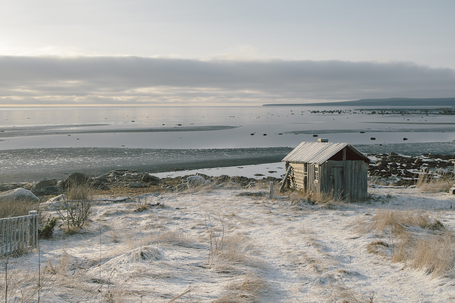 Low tide on the shore of the White Sea 