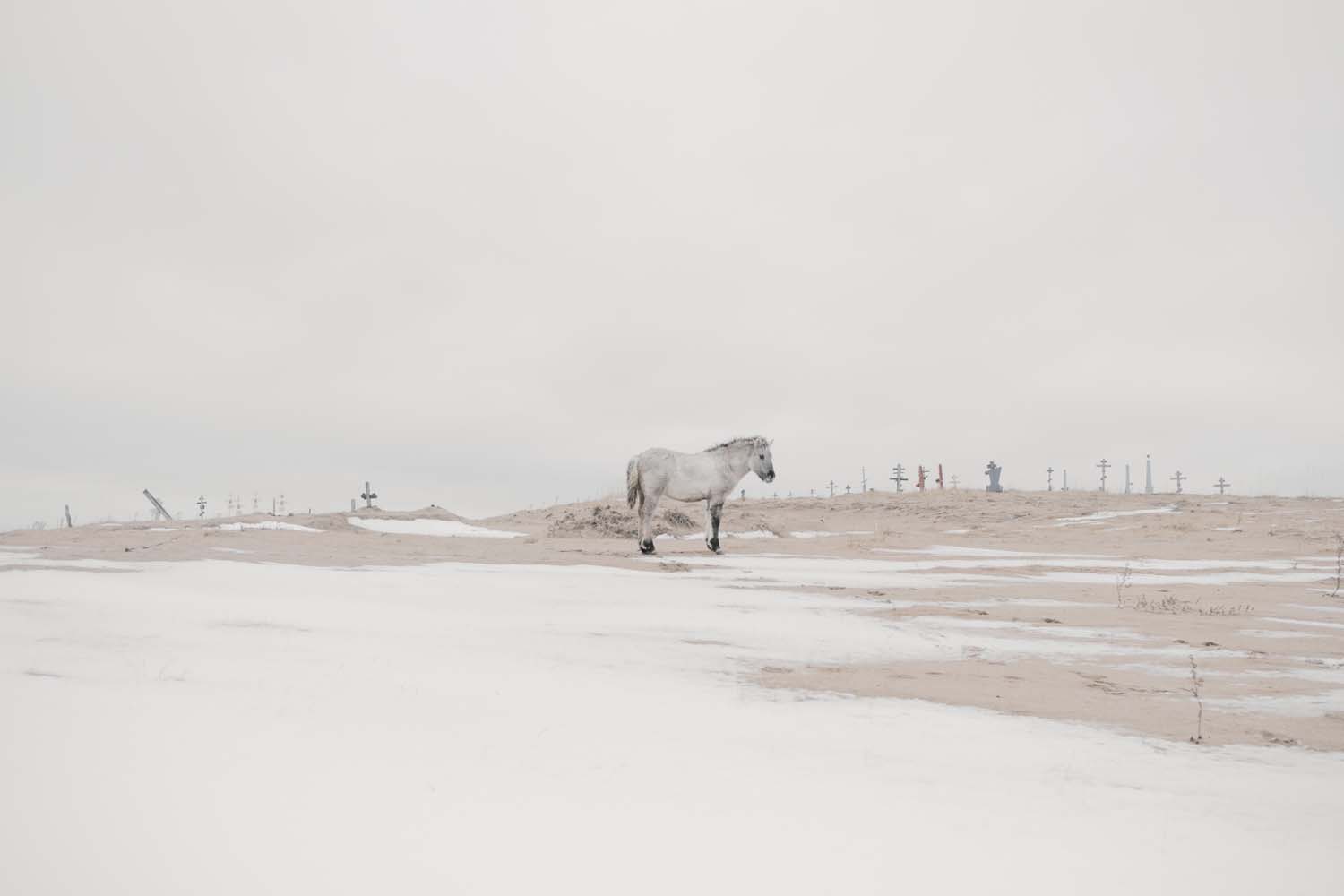 A horse stands amid a shifting sand dune in Kuzomen.