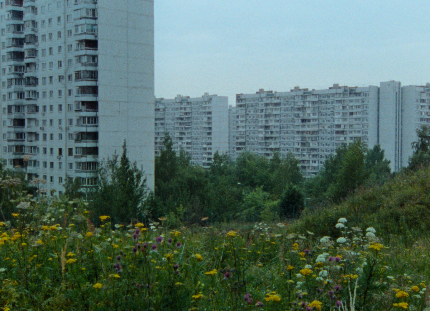​​Landscapes of power: Detours looks at Moscow through the eyes of darknet drug deals