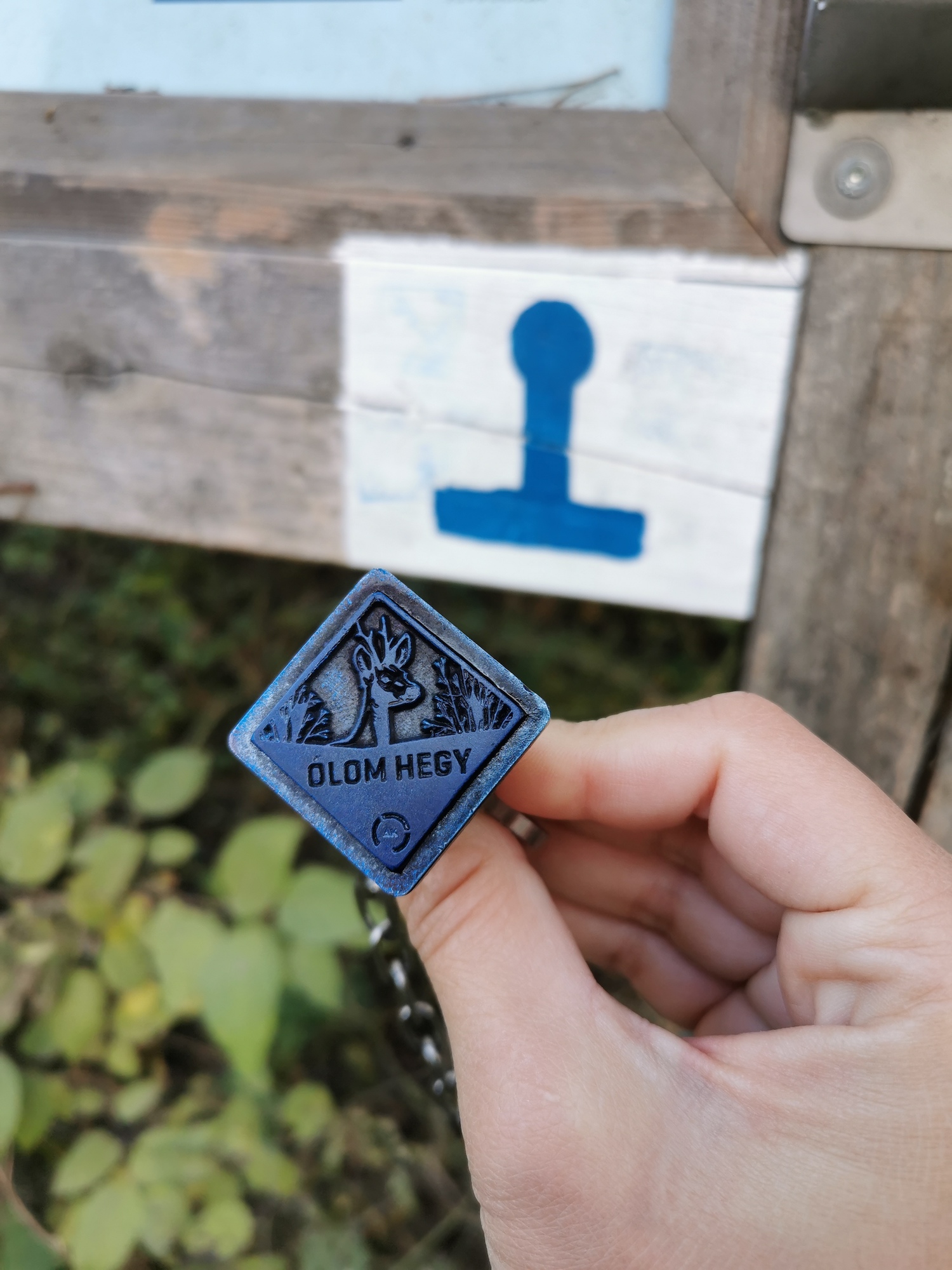 Stamps for hikers along the Blue Trail. Image: Orsi Szombati
