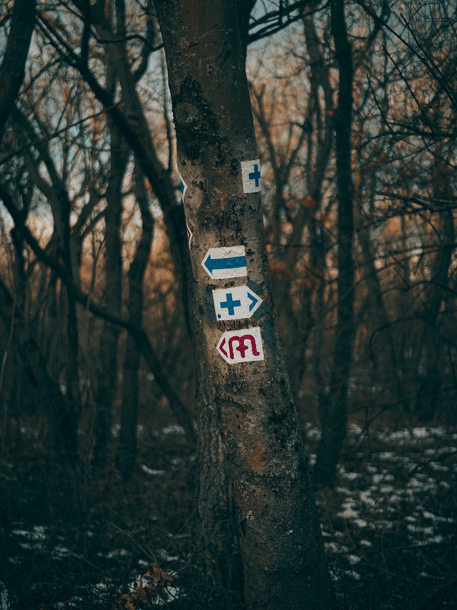 Markers along the Blue Trail. Image: Nora Selmeczi