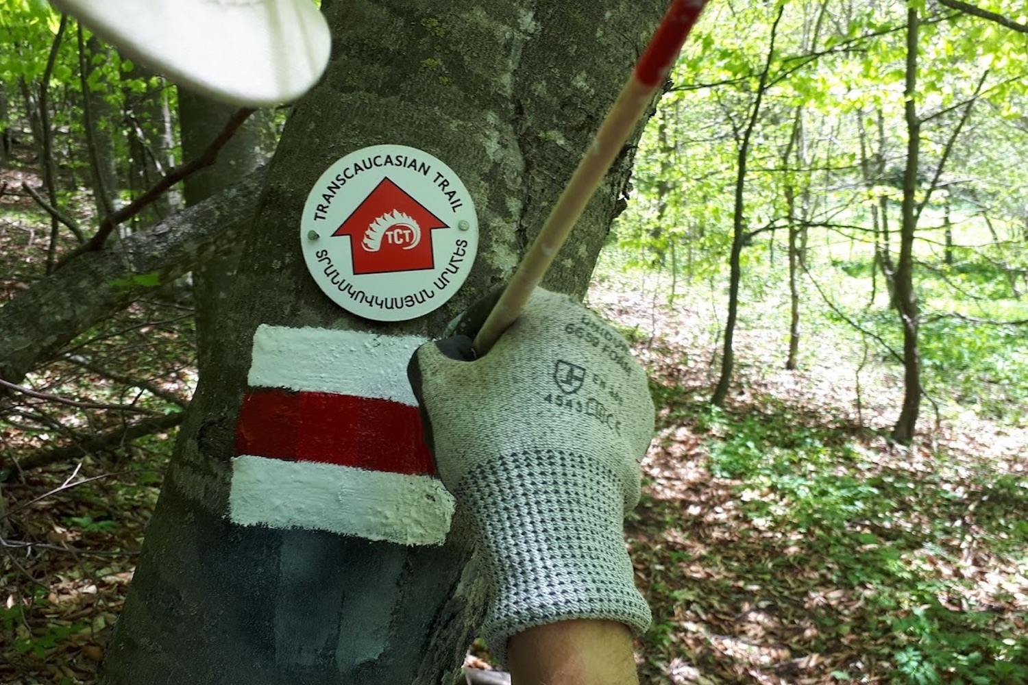 Trail marker in Dilijan National Park, Armenia. Image: Areg Sahakyan/Trails For Change