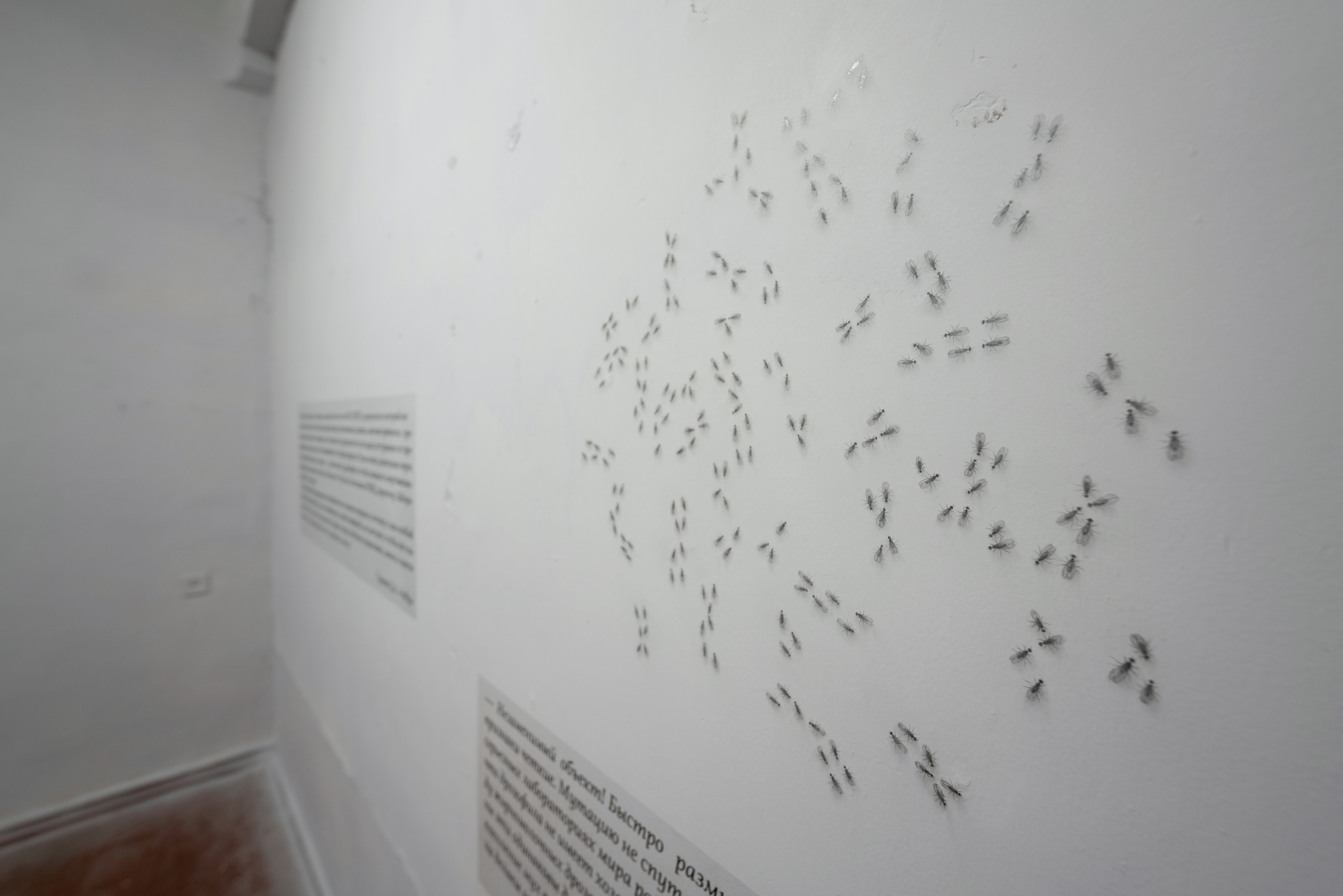 Lines of resistance: Kazakhstan’s poets face the aftermath of protest 