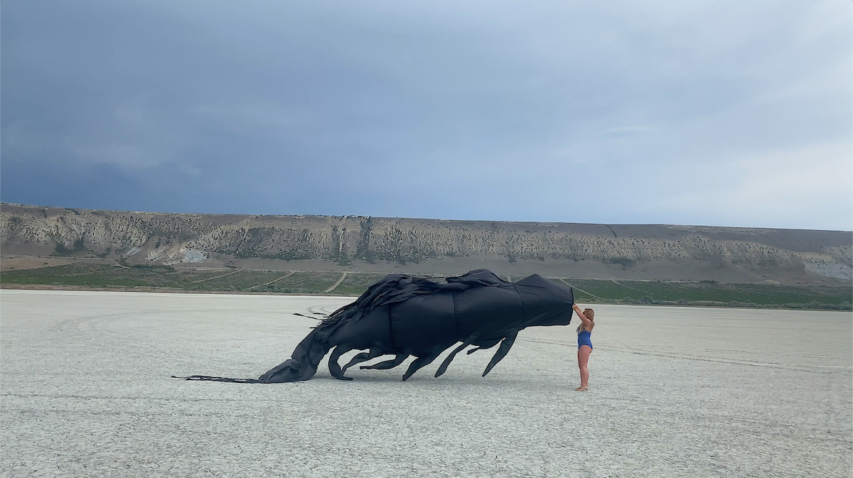 Still from Autograph Blackie, 2021. In this film, a mythical creature becomes a metaphor for the political conflict of two states, detrimental to nature