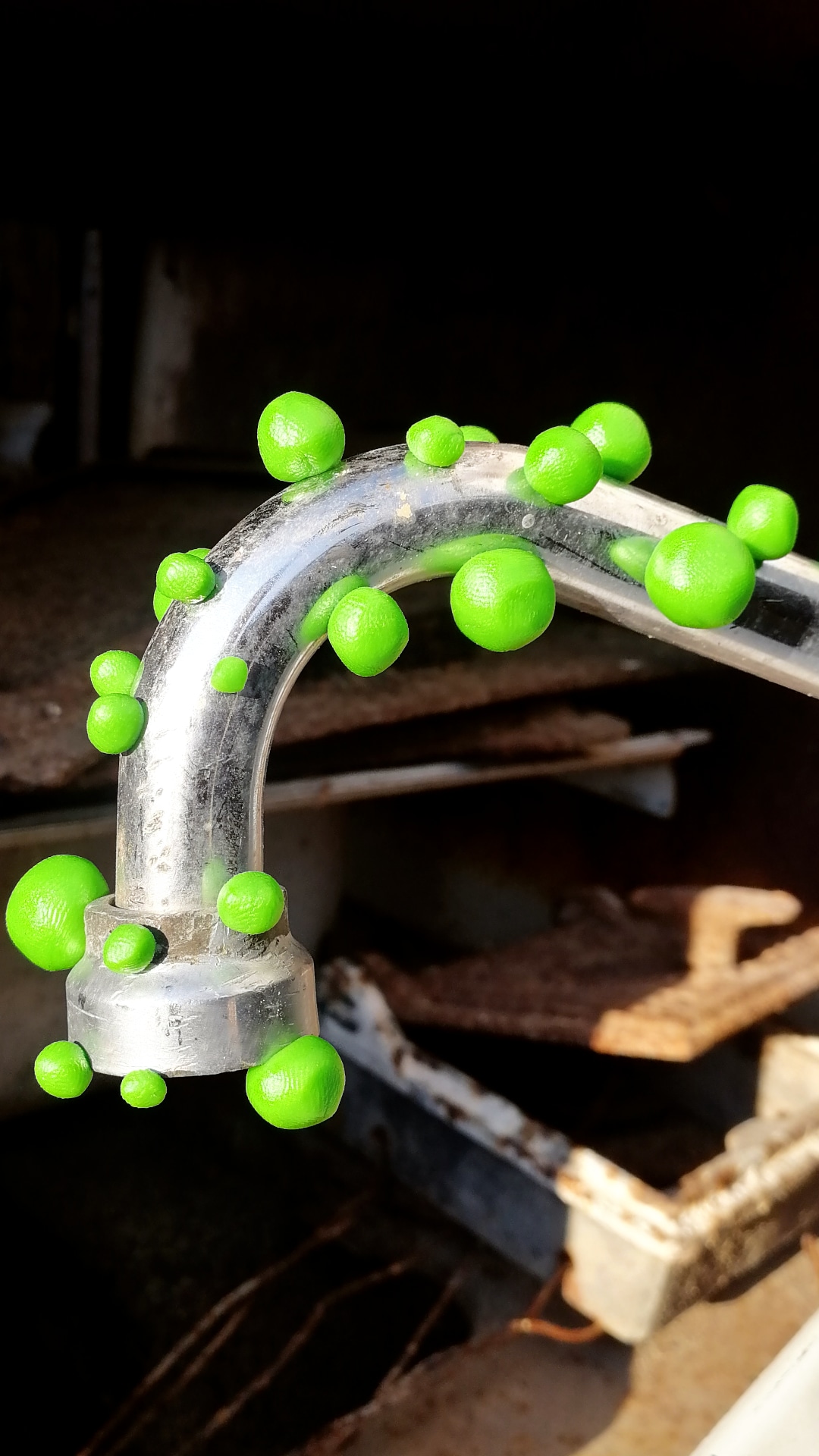 Pipe of Life, 2020