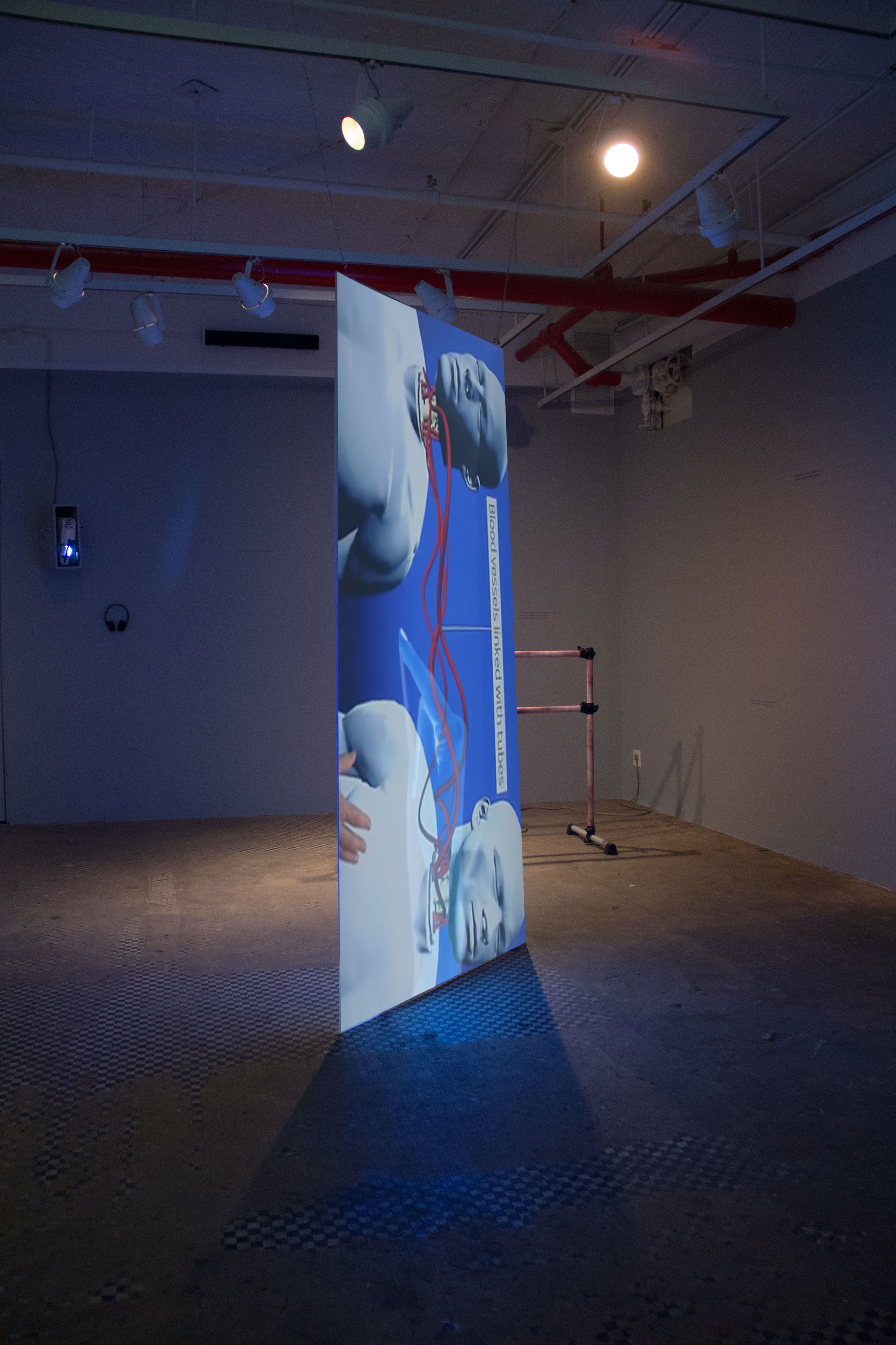 Janus, 2015 Named after the two-faced Roman god of passages and transitions, this video installation consists of two projectors representing the past and the future