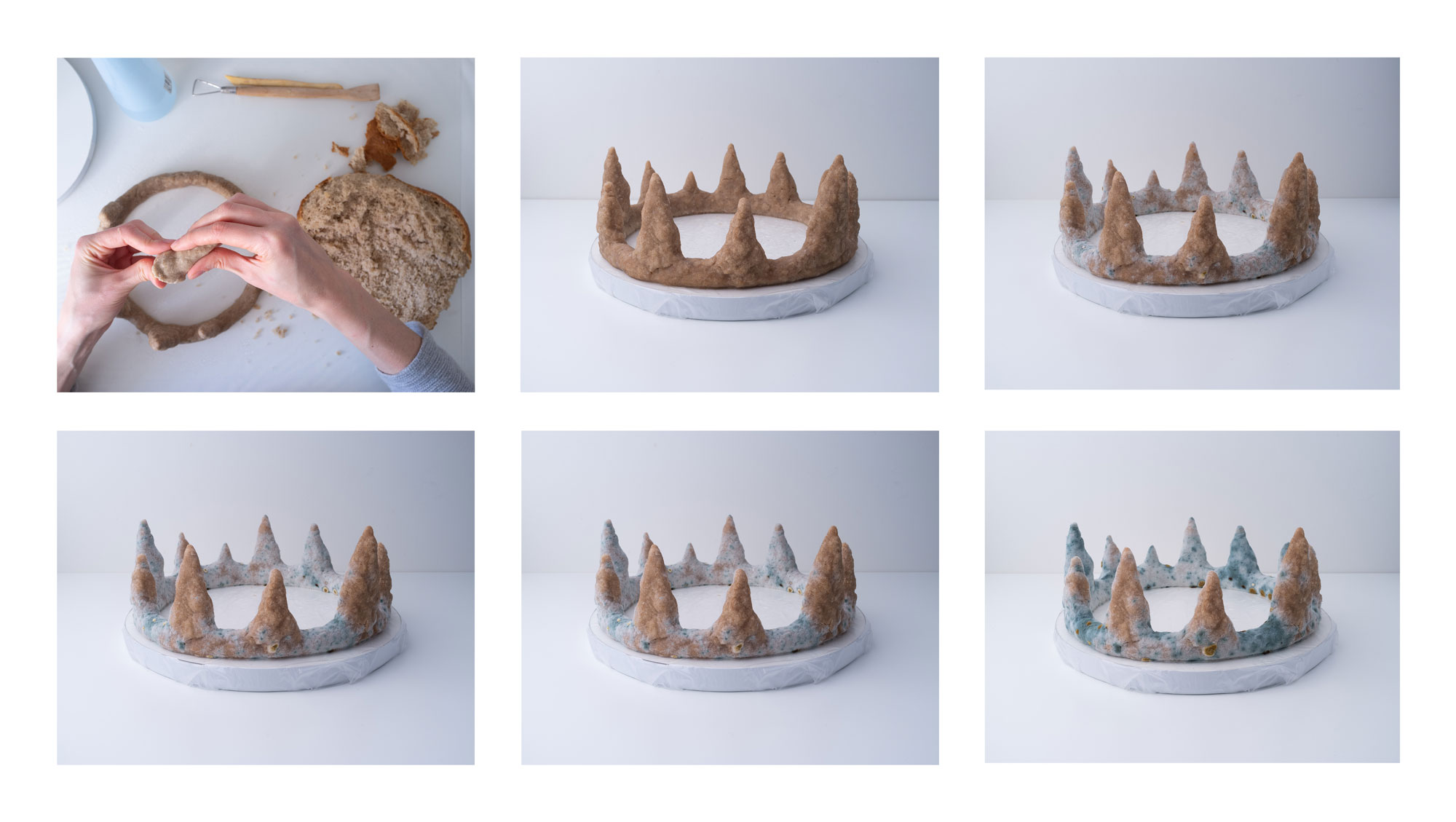 Untitled, 2020. Crown made of bread and mould