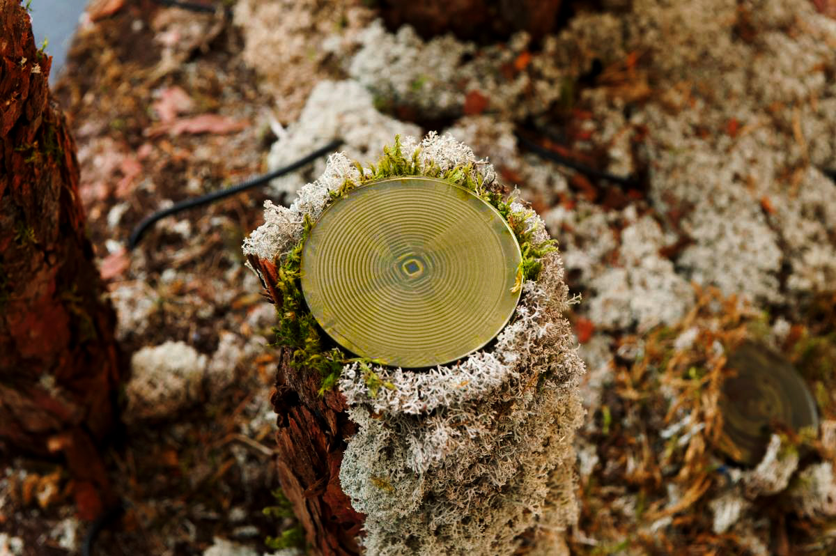 Technomimicry, 2015. Artificial system imitating an organic one