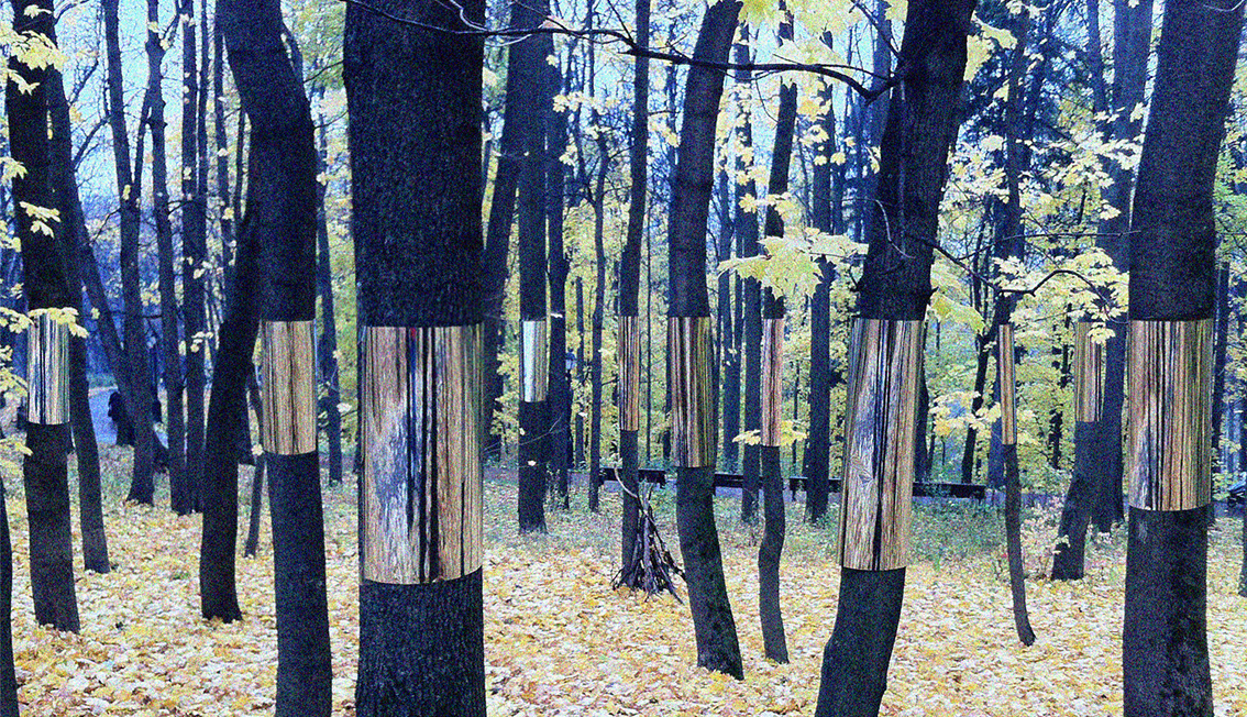 Gap. Land art installation in Moscow, 2014