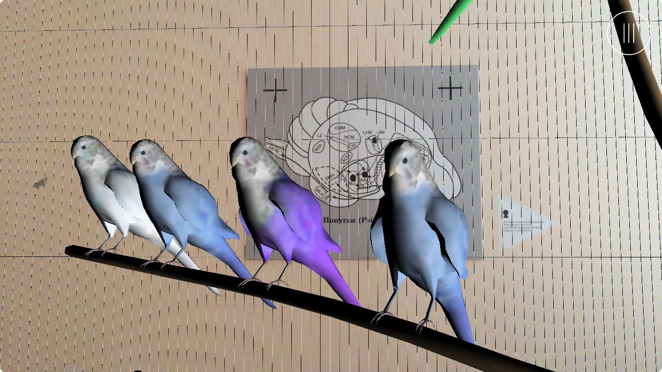 AR project Parrots of the Gaza Palace of Culture, 2020. Art Prospect festival, St Petersburg. An AR restoration of a bird cage from the Palace of the 90s, with parrots pronouncing words and phrases from the tag cloud of the space