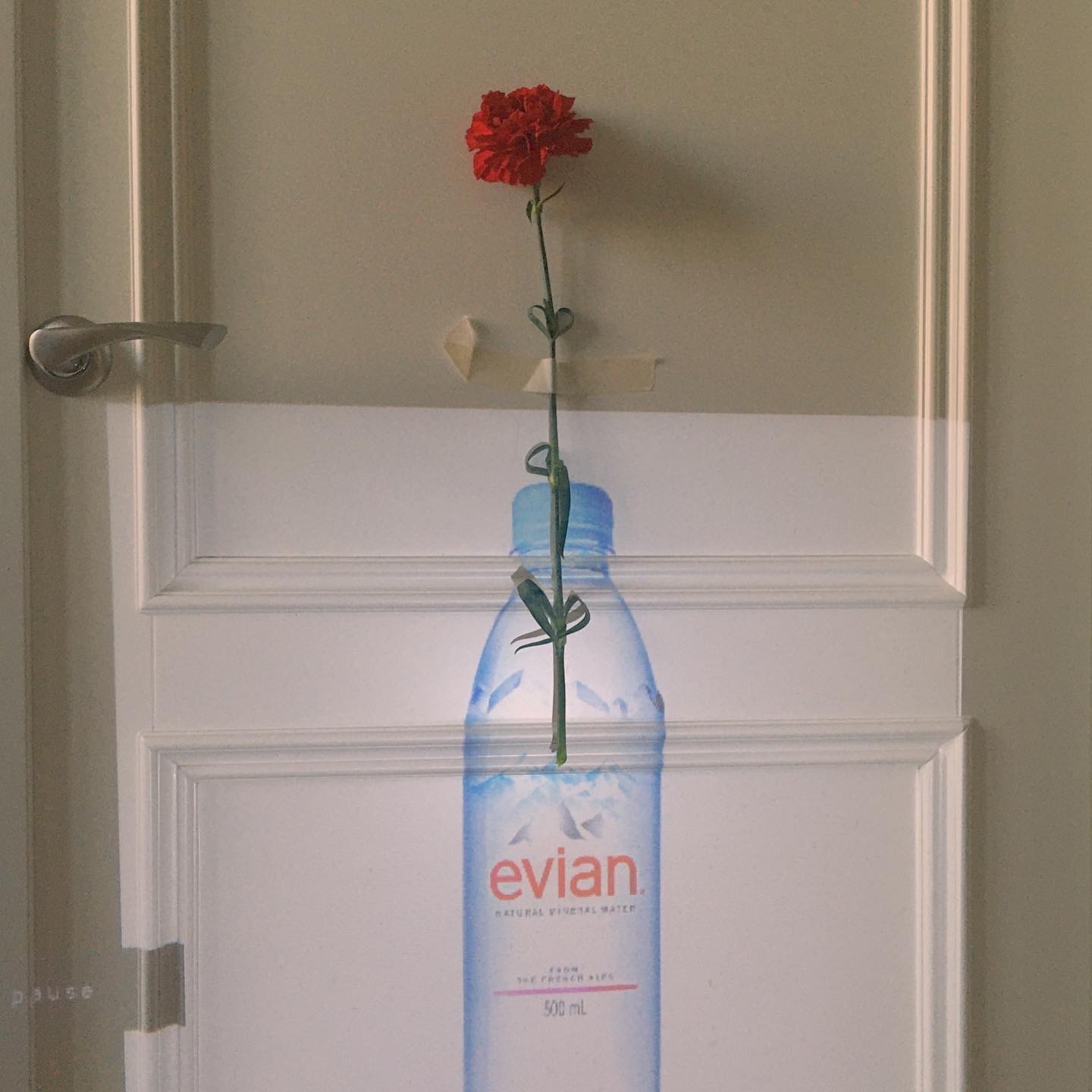 Nature Morte, 2020