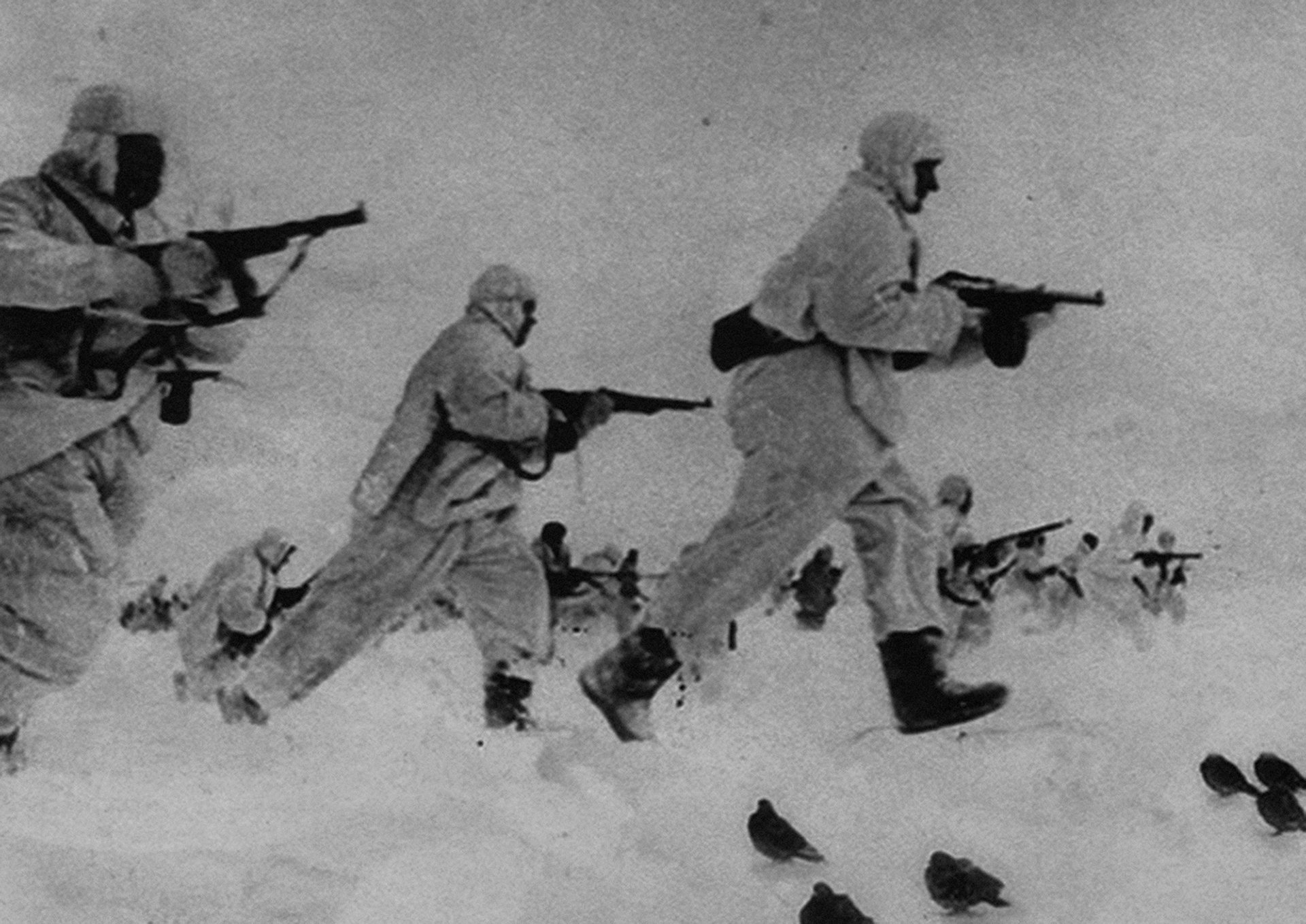 Spy pigeons on the battlefield during World War II, 1943. The memoirs of Yan Khtovich, 2015-2017