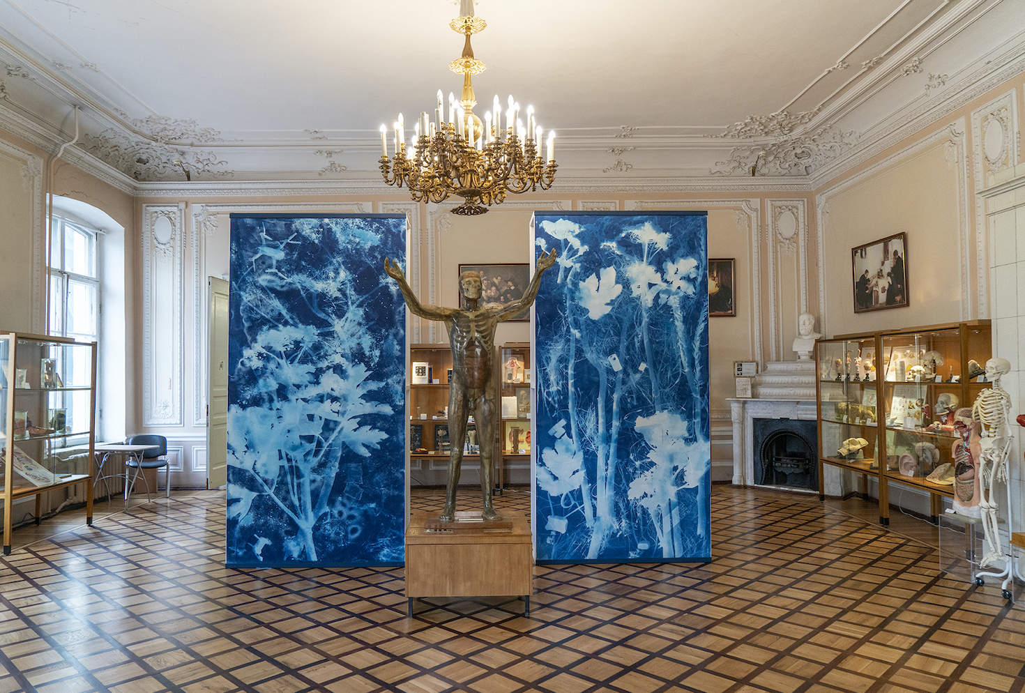 Soldiers of the Sun, or the Right to the Future Time, 2019. Museum of Hygiene, St Petersburg, Contemporary Art in Traditional Museum Festival. This site-specific installation subverts the anthropocentricism of the museum collection