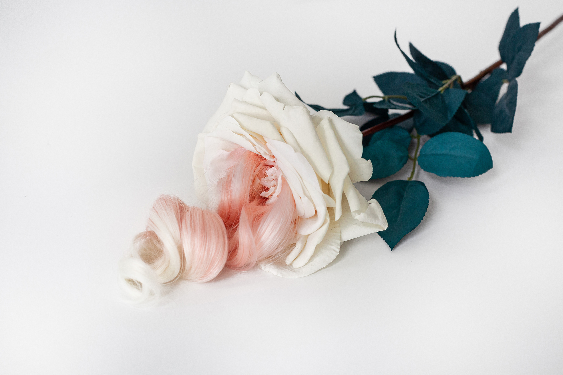 Sleeping beauty Rose-Aurore. From the Stranger Stories exhibition curated by Lizaveta Matveeva at MYTH Gallery. Saint Petersburg, 2019