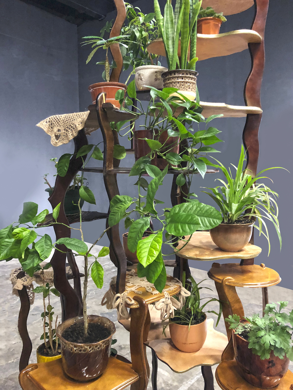 S-system “Tree,” 2019. The installation is made of fragments of shelves from apartment buildings where plants are usually placed. There are crochet napkins on these shelves, whose fractal ornaments copy the microscopic image tree cells