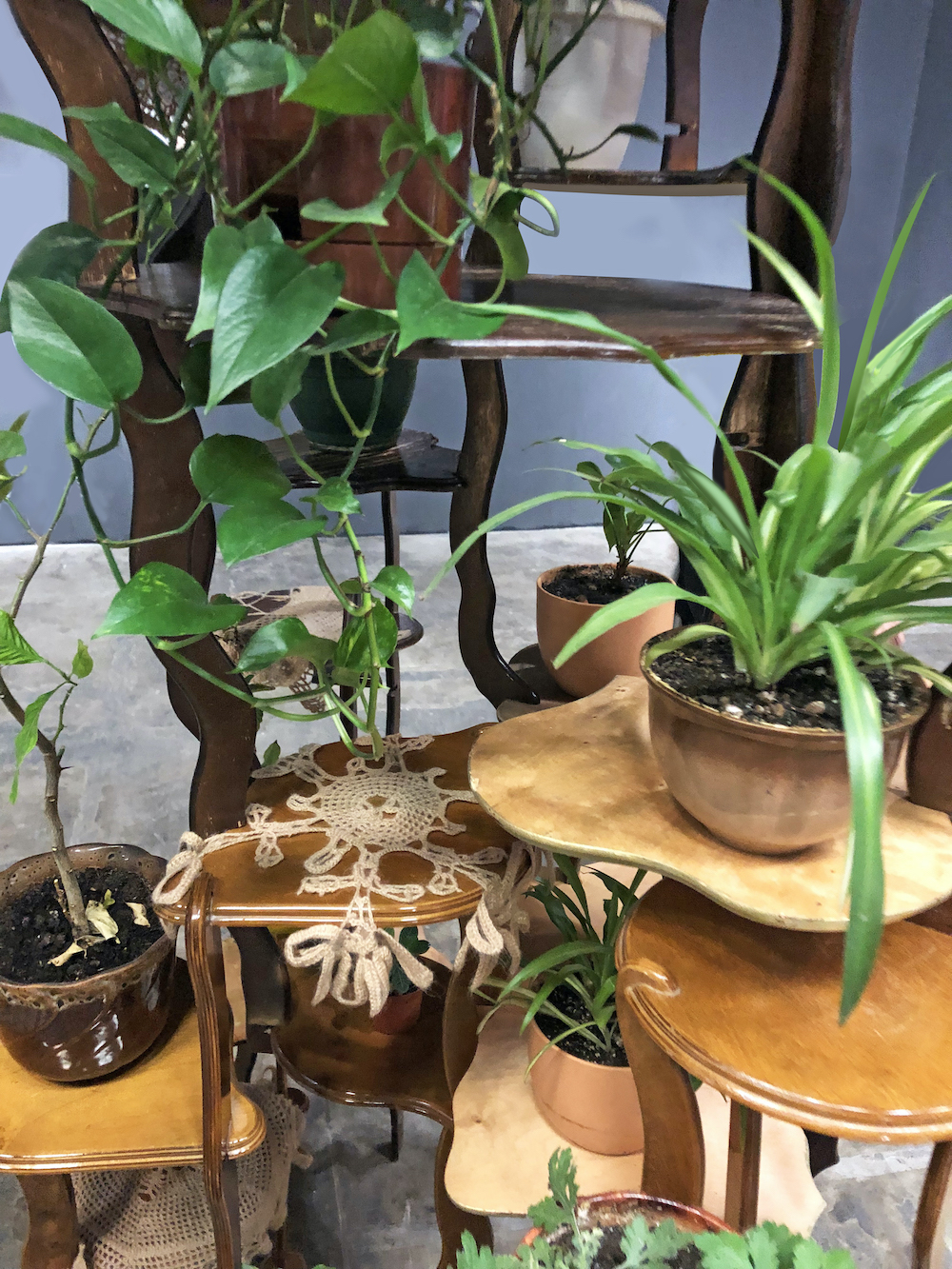 S-system “Tree,” 2019