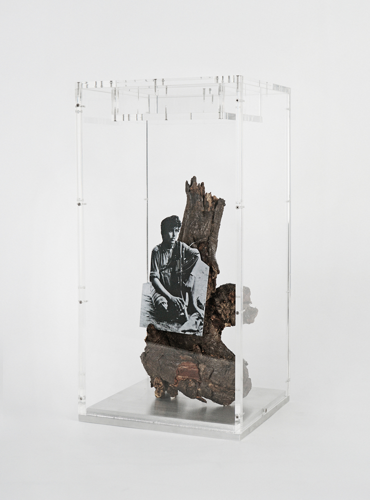 Seeds of Unrest, 2012. By combining photography with organic materials, Titova reveals the tension between an artificial, technology-based object and a natural structure