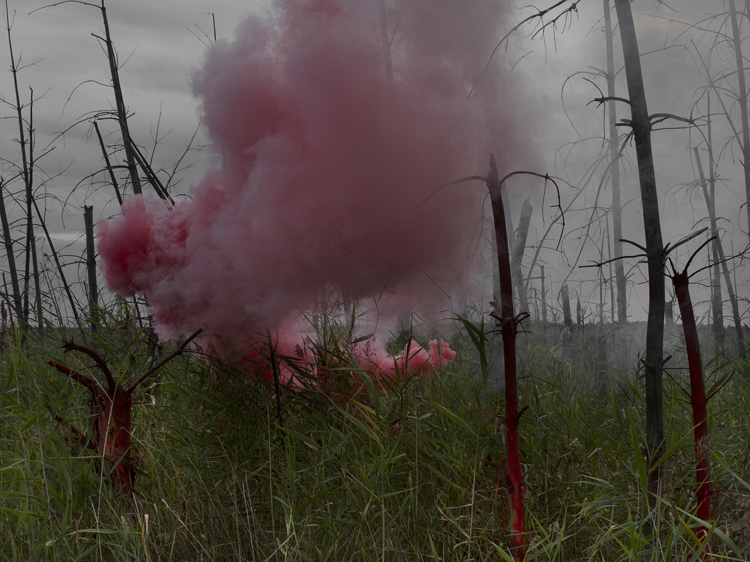 From the Under the Dome project, 2013-2019. This project includes sculptures, glass objects, sound installation, and photography, and is an exploration of places of meteorite falls 