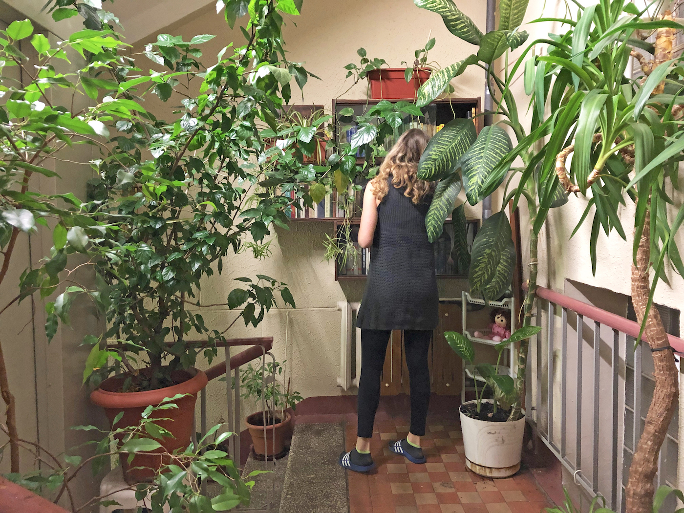 Outliving, 2019