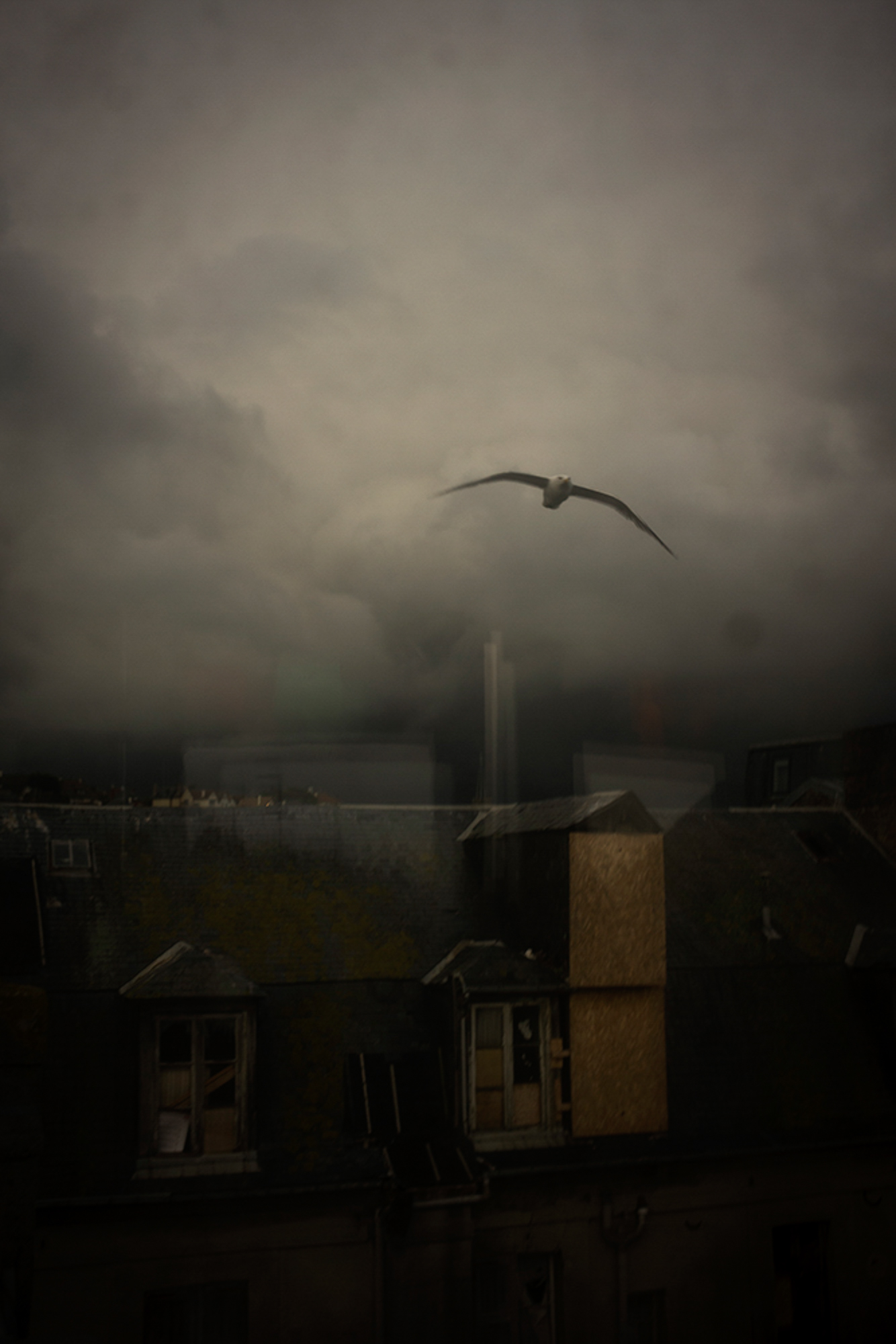 Trouville, 2019